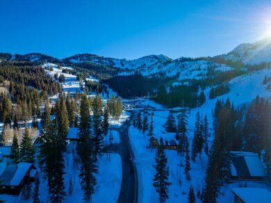 20220110-DJI_0211