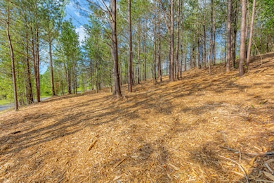 19 Turkey Run, Flintstone, GA 30725 - photo 2