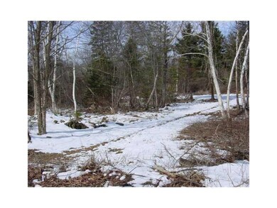 Land/Lot. Proposed driveway from road.