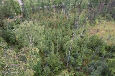 11396 Cat Tail Cir, Houston, AK 99694 - photo 3