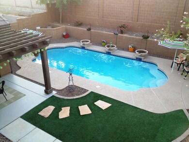 Backyard 16