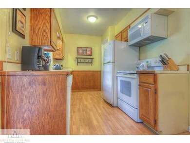 1615 S Holly Way, Lansing, MI 48910 - photo 5