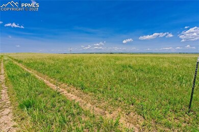 20305 Joyful View, Peyton, CO 80831 - photo 4