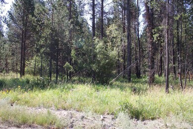 16845 Hermosa Dr, Bend, OR 97707 - photo 7