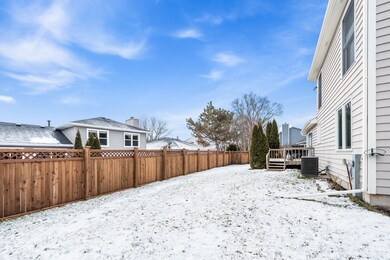 1226 Windemere Ave, Naperville, IL 60564 - photo 3