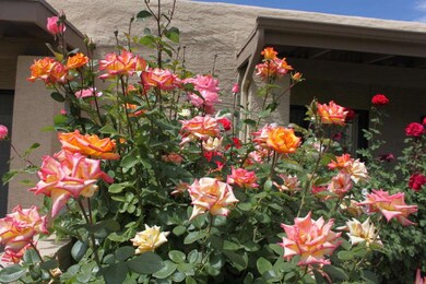 713 S 77th St unit 43, Mesa, AZ 85208 - photo 2