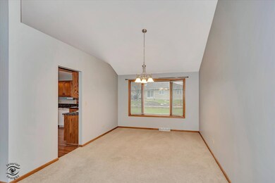 309 Calla Dr, Manhattan, IL 60442 - photo 5