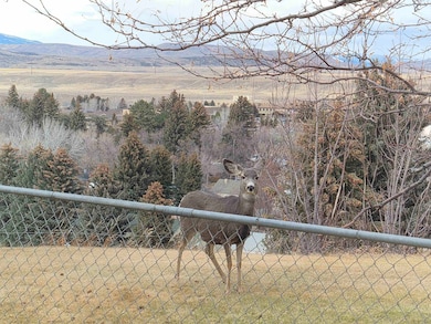 1007 View Ave, Cody, WY 82414 - photo 3