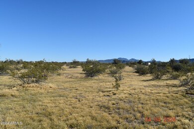Organ pipe looing south wider