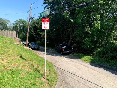 14 Prioulx St, Worcester, MA 01605 - photo 2