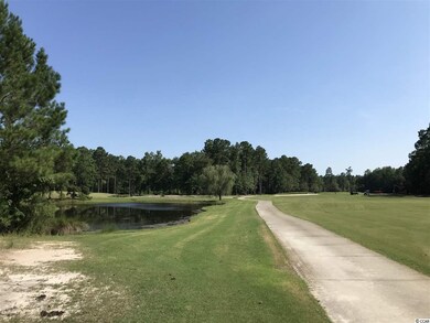 121 Bantry Ln, Conway, SC 29526 - photo 5