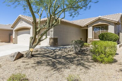 Natural Desert Landscaping