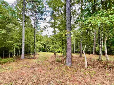 5102 Nevis Dr unit 99, Oxford, MS 38655 - photo 3