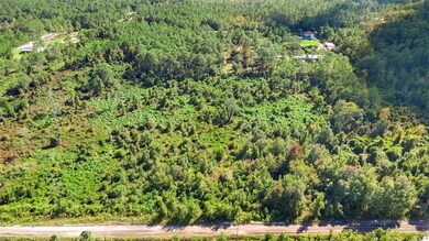 0 Quail Nest Ln unit MFRO6353244, New Smyrna Beach, FL 32168 - photo 4