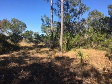 XX Mill Creek Rd, Crawfordville, FL 32327 - photo 5