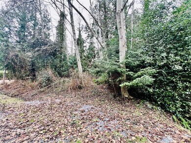 1394 Rex St, Point Roberts, WA 98281 - photo 4