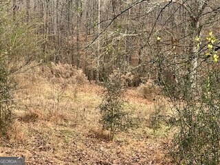 0 Julius Bridge Rd unit 10656513, Ball Ground, GA 30107 - photo 7