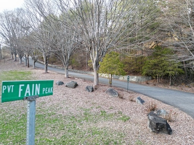 179.88 Ac Fain Peak, Murphy, NC 28906 - photo 3