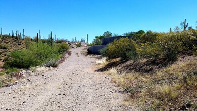 LONG DRIVEWAY