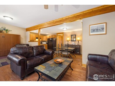 2625 Marys Lake Rd unit 101, Estes Park, CO 80517 - photo 5