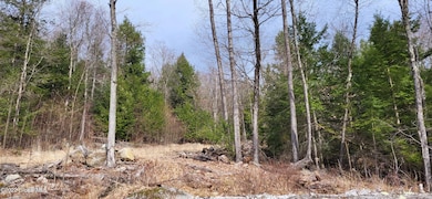 L3 Clendon Brook Rd unit ADIRONDACK PK, Queensbury, NY 12804 - photo 7