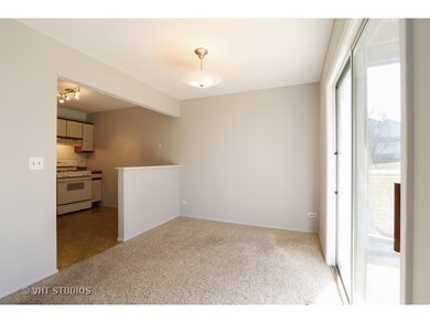 252 Appletree Ct unit 252, Buffalo Grove, IL 60089 - photo 4