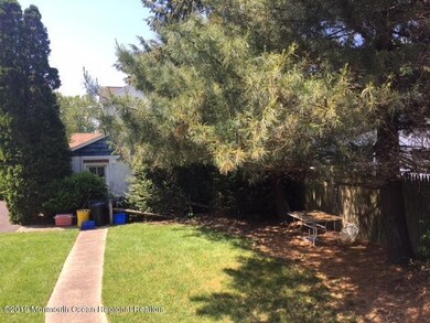 Backyard3