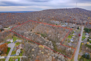 17 Acres Snowflake Ln, Wausau, WI 54401 - photo 3