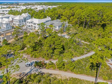 116 Featherbed Aly, Inlet Beach, FL 32461 - photo 7