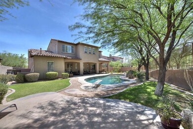 Spectacular Back Yard