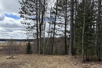 1899 Amik Lake Ln, Lac Du Flambu, WI 54538 - photo 6