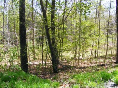 00 Newfane Hill Rd, Newfane, VT 05345 - photo 4