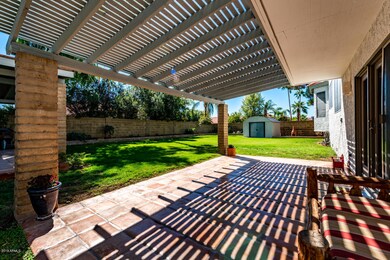 Back Yard Patio
