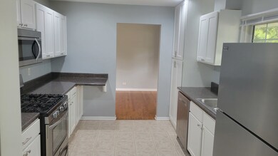 308 Tamarack Ave, Naperville, IL 60540 - photo 2