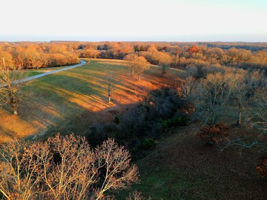 Dogwood Tree Road pics.jpg1