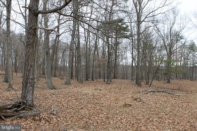 0 Push Root Rd unit WVMI111820, Burlington, WV 26710 - photo 5