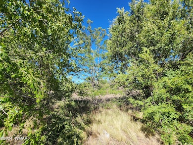 0 W 19th St S, Snowflake, AZ 85937 - photo 2