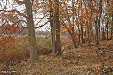 0 Pond Neck Rd unit 1001673633, Earleville, MD 21919 - photo 5