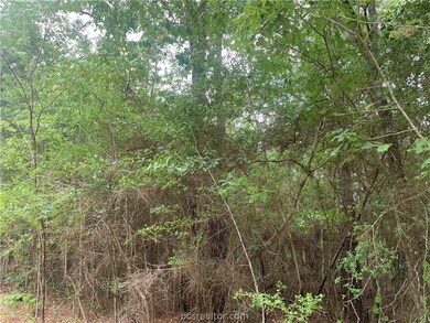 001 Pin Oak Dr, Plantersville, TX 77363 - photo 5