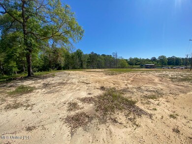 0 Hwy 26, Lucedale, MS 39452 - photo 5