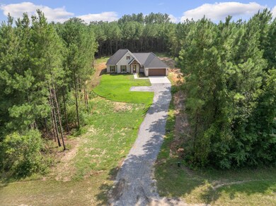 Front Aerial From Road
