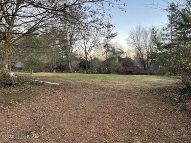 Backyard from patio