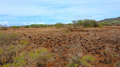 0 Hao Keehi Place unit 402032, Maunaloa, HI 96770 - photo 3
