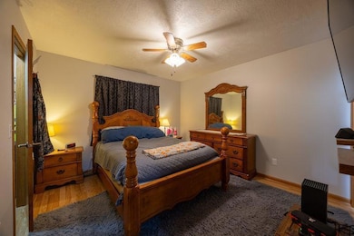 Primary bedroom with walk in closet and walk through full bath.