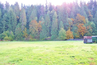 23411 Orville Rd E, Orting, WA 98360 - photo 2