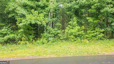 185 Grand Jct, Sharpsburg, GA 30277 - photo 6