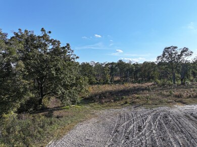 963 Vinson Rd, Meigs, GA 31765 - photo 5