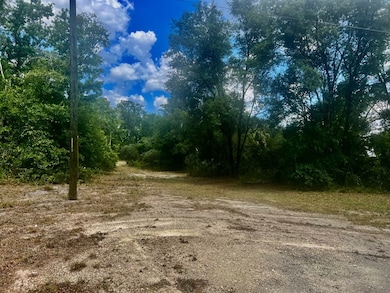 0 SW 50th Ln, Cross City, FL 32628 - photo 6