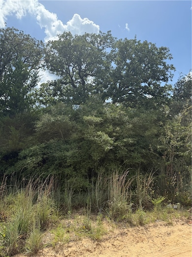 1163 Sugar Hill Rd, Caldwell, TX 77836 - photo 4