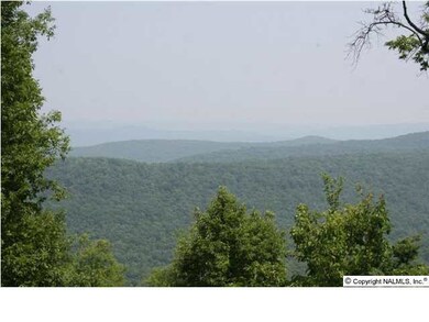 731 Winkles Rd, Grant, AL 35747 - photo 6